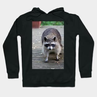 Fat Raccoon Print Hoodie